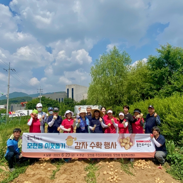 모현읍 주민자치위원회, 이웃 돕기 감자 수확 행사 개최